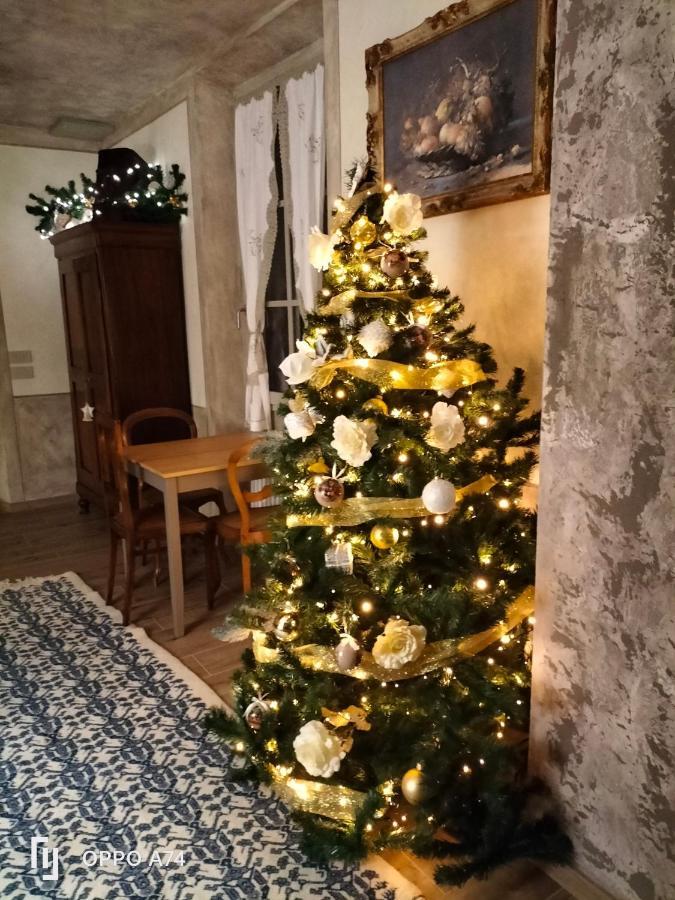 B&B Sasso Di Rocca Gaggio Montano Экстерьер фото